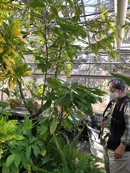Retired Tucker Greenhouse Manager Barb Sonderman with some of the many plants that thrive in the greenhouse. “You name it, we’ve got it at Tucker,” she said. 