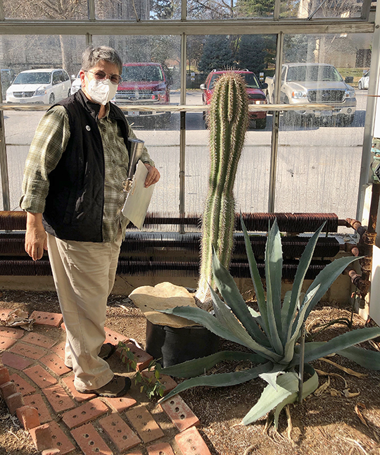 Retired Tucker Greenhouse Manager Barb Sonderman stands in the greenhouse’s desert room next to plants donated by a faculty member from a research trip. 
