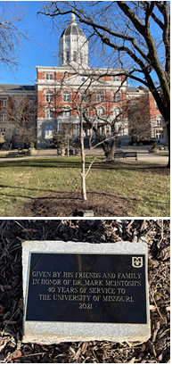 the plaque that sits at the base of the tree.
