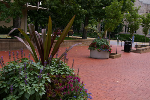 Lowry Mall Containers