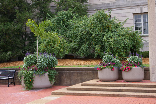 Lowry Mall Containers