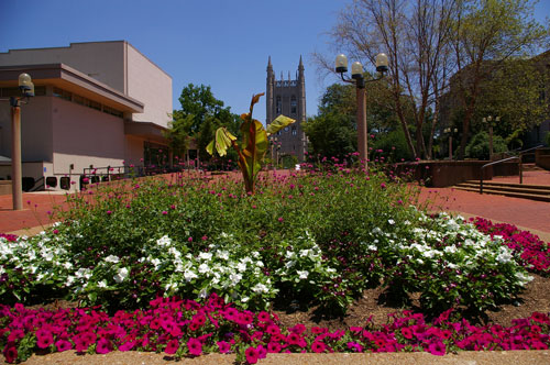 Lowry Mall Planter