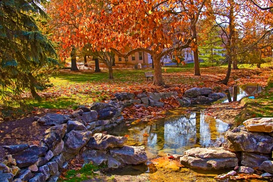 McAlester Park in fall