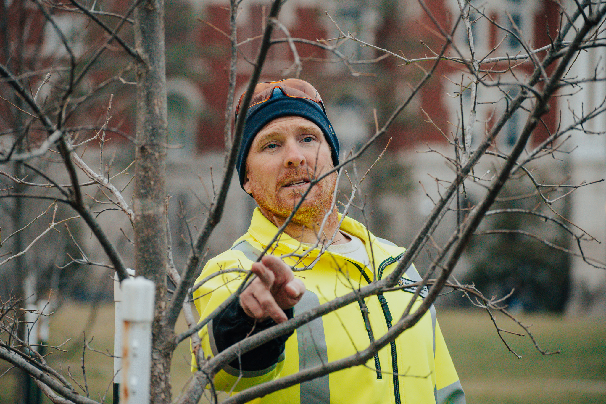 Urban Forester, Sam Wright