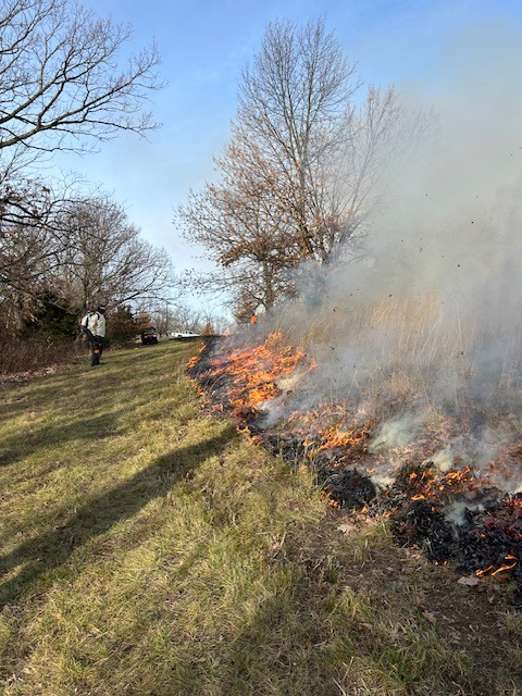 Blair Crosby,MU’s manager of landscape operations, and a dozen members of MU LandscapeServices staff did a controlled burn on one of the native plant plots on the MU campus.