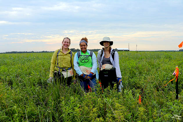 MU Assistant Professor of Biological Science Lauren Sullivan and grad students Maya Parker-Smith and Katherine Wynne collecting seed rain carpets at Tucker Prairie